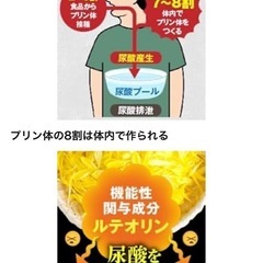 【新品未開封】尿酸値を下げるサプリの画像