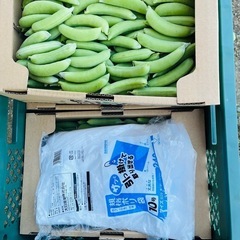 ご家庭用スナップエンドウ2.2kg