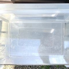 ‼️コバエ防止ケース中サイズ　コバエシャッター　クワガタ　虫かご（Amazonの場合　1個1420円）  2個あります❷の画像