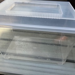 ‼️コバエ防止ケース中サイズ　コバエシャッター　クワガタ　虫かご（Amazonの場合　1個1420円）  2個あります❷の画像