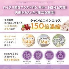 【未開封】 ビィフィラル ロイテリ菌の画像