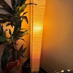 間接照明
