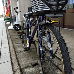 子供自転車　クロスファイアJr 24㌅の画像