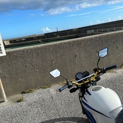 HONDA VTR250(自前カラーリング)の画像