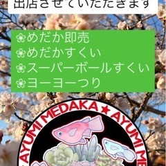 5/3🌸めだかすくい🐟スーパーボールすくい