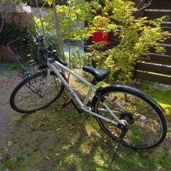 ジュニア自転車