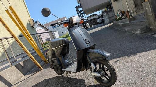 ホンダタクト自賠責令和7年11月即乗り可能 (ぱう) 下関のホンダ