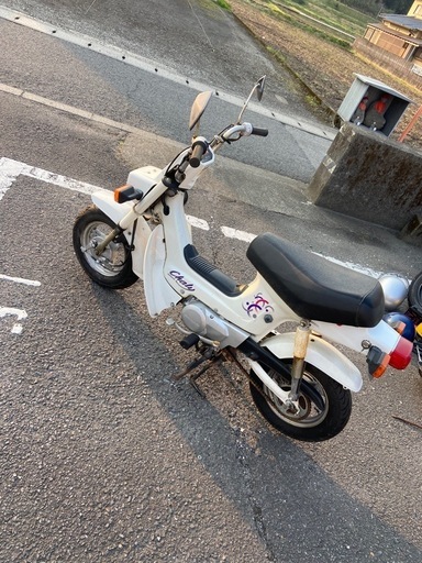 HONDA シャリー50 シャリィ50 シャリー 角目 (1808) ホンダ（HONDA