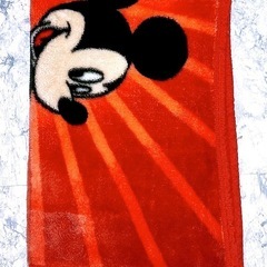 毛布(1)