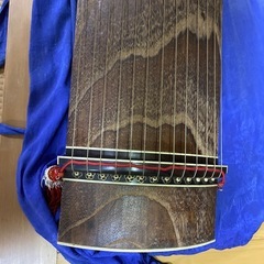 琴の画像