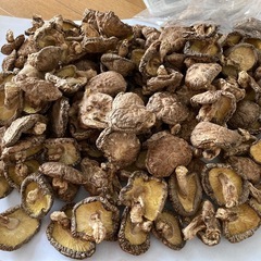 大分県竹田市産　干し椎茸どんこ小さめ100g