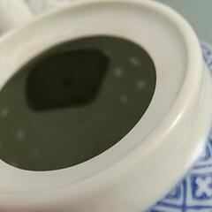 中国製陶器セット 急須 猫醤油さし2点セットの画像