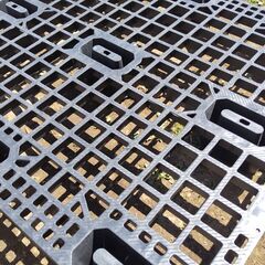 超軽量　プラスチックパレットの画像