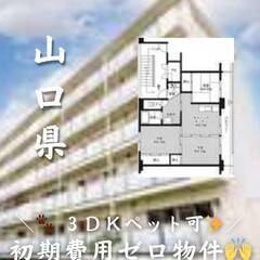 山口県宇部市 　初期費用ゼロ　家賃32000円　生活保護可 ペット可！