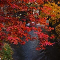 カメラ&写真好きなあなた！（誰でも大歓迎） − 広島県