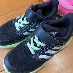 そこそこきれいなスニーカー17-18の画像