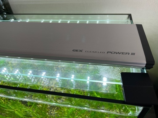 Gex 水槽60cm LEDフィルター　温度計　グッピーセット