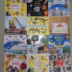 サンチャイルド・ビックサイエンス ４５冊（重複分を含めると４６冊）