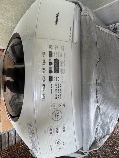 東芝 9kg ドラム式洗濯乾燥機【TW-96A5L】　一人暮らし〜ファミリー