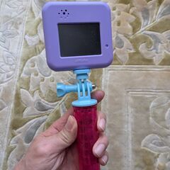 セガフェイブ #バズゅCam むてきパープルの画像