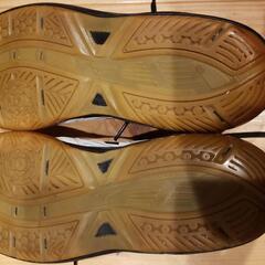 Mizunoの画像