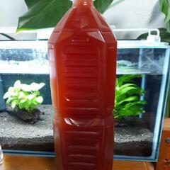 No.2❗熱帯魚❗金魚❗メダカに❗PSB❗光合成細菌❗1500m...