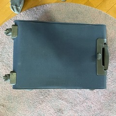 キャリーバッグの画像