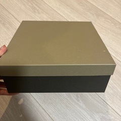 未使用　美濃焼 カレー皿2枚セットの画像