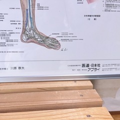 ③医療用ポスター（アルミパネル付き）の画像