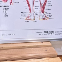 ④医療用ポスター（アルミパネル付き）の画像