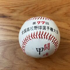 【硬式球】第77回 甲子園記念ボール
