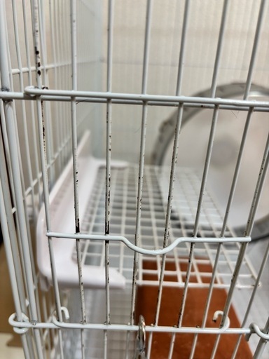 デグー飼育セット イージーホーム40ハイ 他