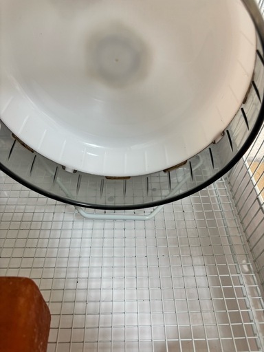 デグー飼育セット イージーホーム40ハイ 他