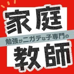 【大阪府藤井寺市】家庭教師のわっふる（株式会社HAKU）勉強が大っ嫌いな子専門の家庭教師｜27226の画像