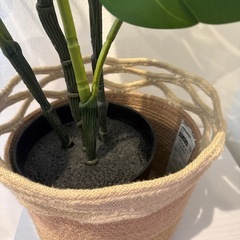 観葉植物　フェイクグリーン　IKEA モンステラ の画像