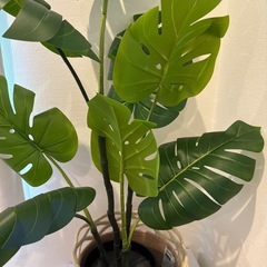 観葉植物　フェイクグリーン　IKEA モンステラ の画像