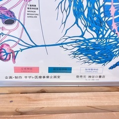 ⑤医療用ポスター（アルミパネル付き）。の画像