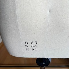 文化　トルソー/マネキンの画像