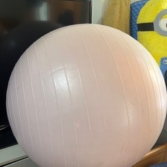 バランスボール (ポンプ付き)