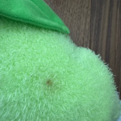 ぬいぐるみの画像