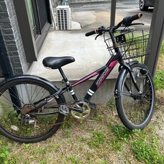 福岡発】ZHI BIKE 20インチ トライアル ディスク 自転車 完成品