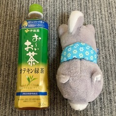 豆しば三兄弟 ★ タイガ　ぬいぐるみ　人気の画像
