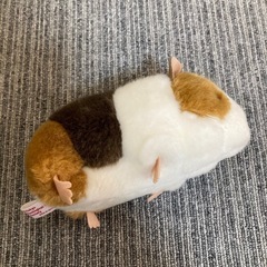 Tokyo Zoological Park ★ モルモット　ぬいぐるみ　人気の画像
