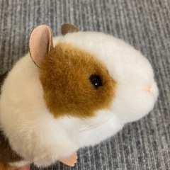Tokyo Zoological Park ★ モルモット　ぬいぐるみ　人気の画像