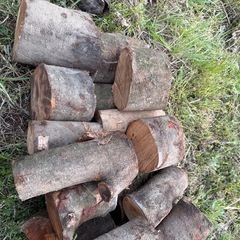 大量購入OK！5個で1500円　コースター　置き物　加工品　インテリア　ハンドメイド作品に！の画像