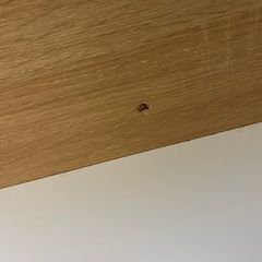 机　テレワークなどの画像