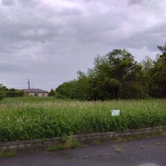 千葉県山武市～！残土・黒土・無料で差し上げます！の画像