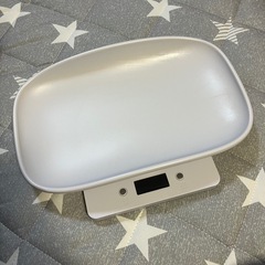 ★受け渡し予定者様あり★スケールの画像