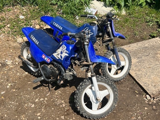 ヤマハ YAMAHA pw50