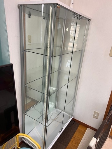 コレクションケース